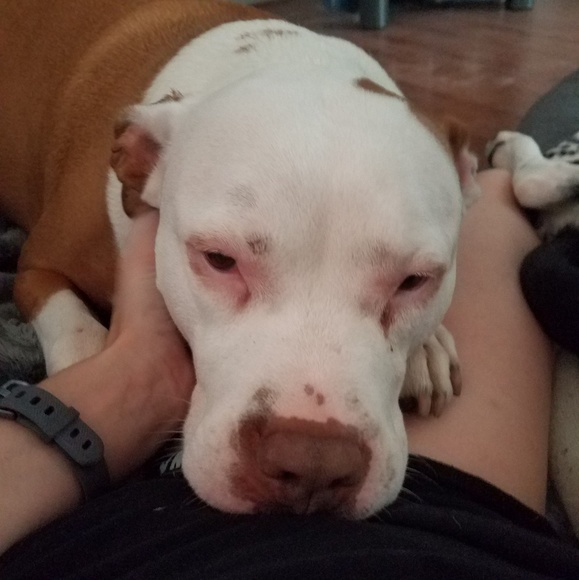 Meet your Posher, Vanessa - Picture 1 of 1